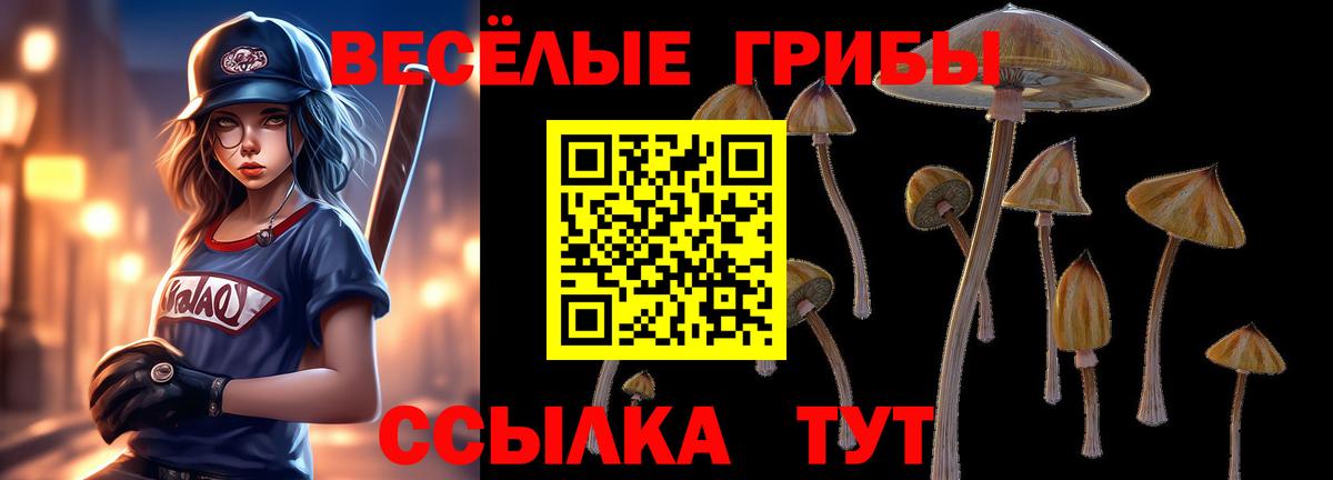 Галлюциногенные грибы прущие грибы Усть-Джегута